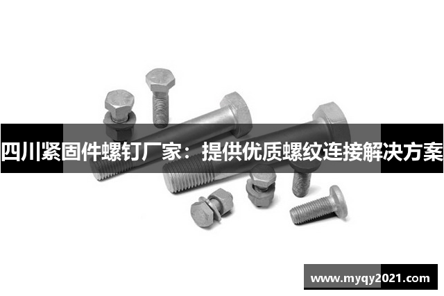 四川紧固件螺钉厂家：提供优质螺纹连接解决方案